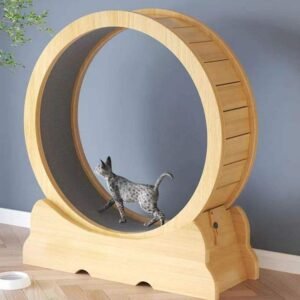Wooden Cat Exercise Wheel